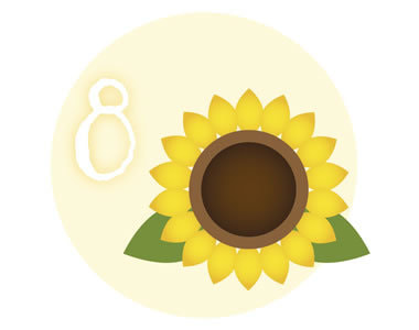 8月