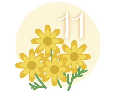 11月
